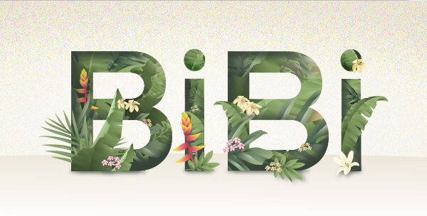BiBi